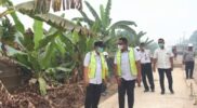 Muaro Jambi Tak Masuk Usulan Bantuan Presiden untuk Karhutla