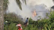 Kebakaran Kembali Landa Tungkal Ilir, Bupati Turun Langsung