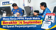 Masa Kerja PPPK Paruh Waktu Berakhir 14 September, Ini Syarat Perpanjangannya